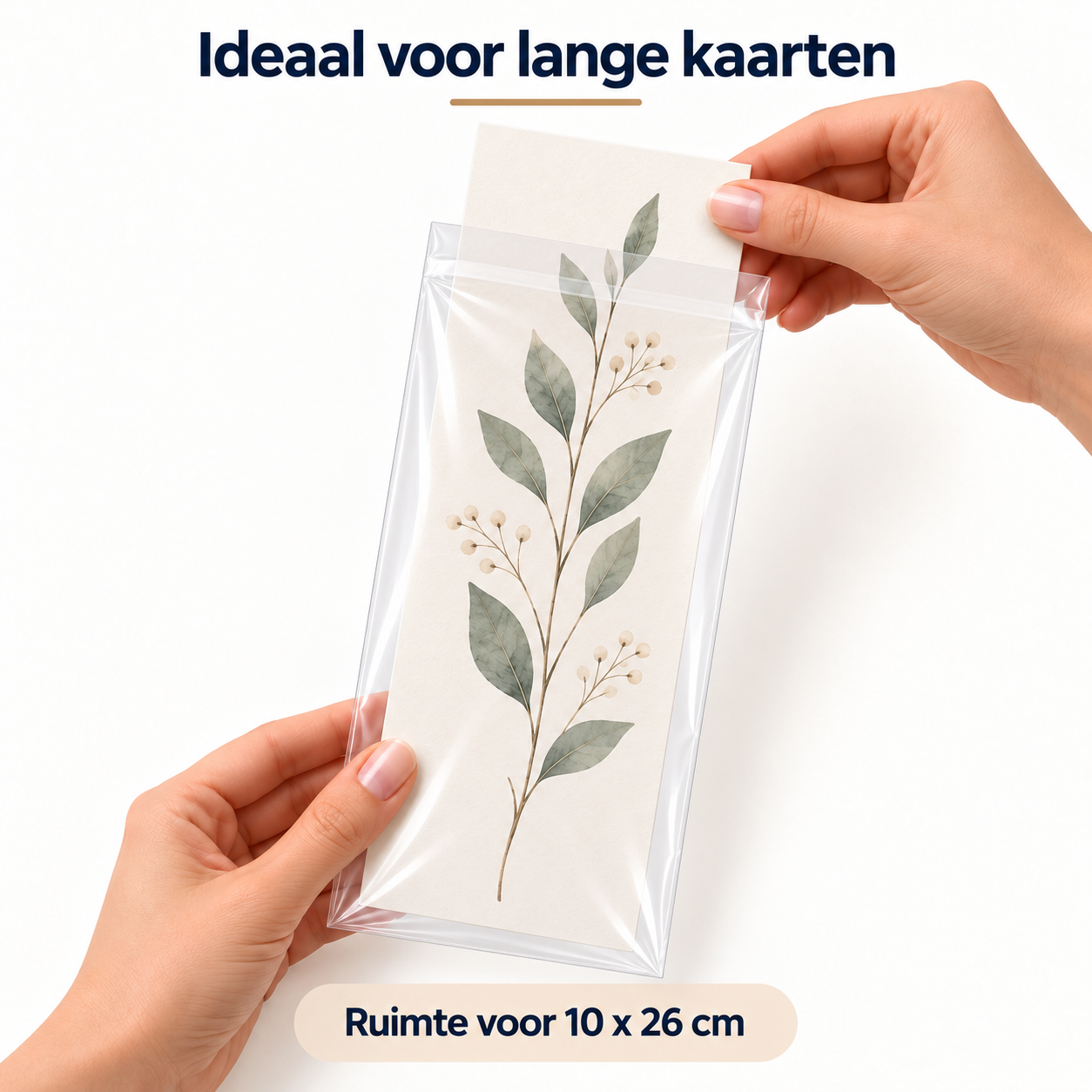 Lange kaart in transparante zak